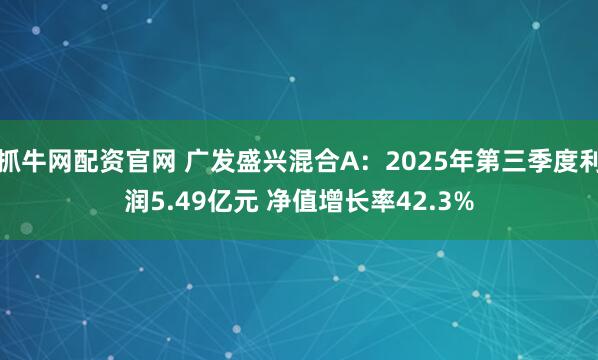抓牛网配资官网 广发盛兴混合A：2025年第三季度利润5.49亿元 净值增长率42.3%