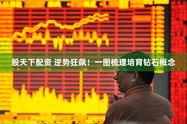 股天下配资 逆势狂飙！一图梳理培育钻石概念