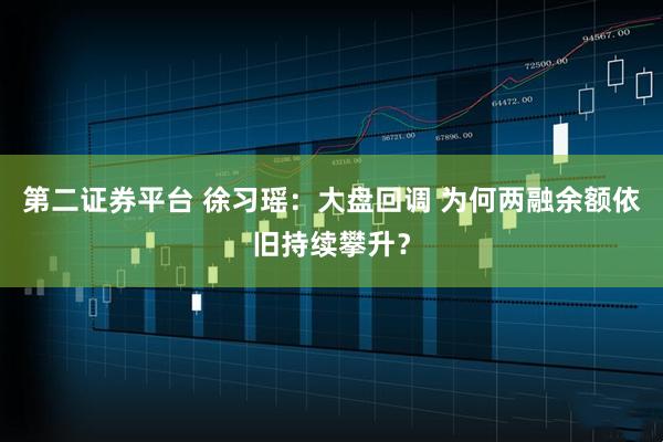 第二证券平台 徐习瑶：大盘回调 为何两融余额依旧持续攀升？